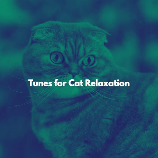 Tunes for Cat Relaxation - Musica para Leer Playlist