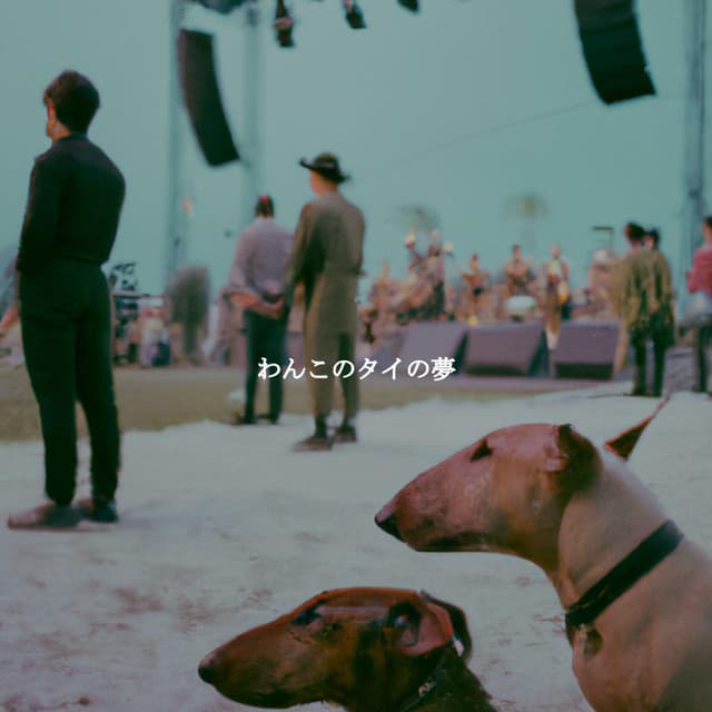 わんこのタイの夢 - Relaxing Bossa Nova Artisanal