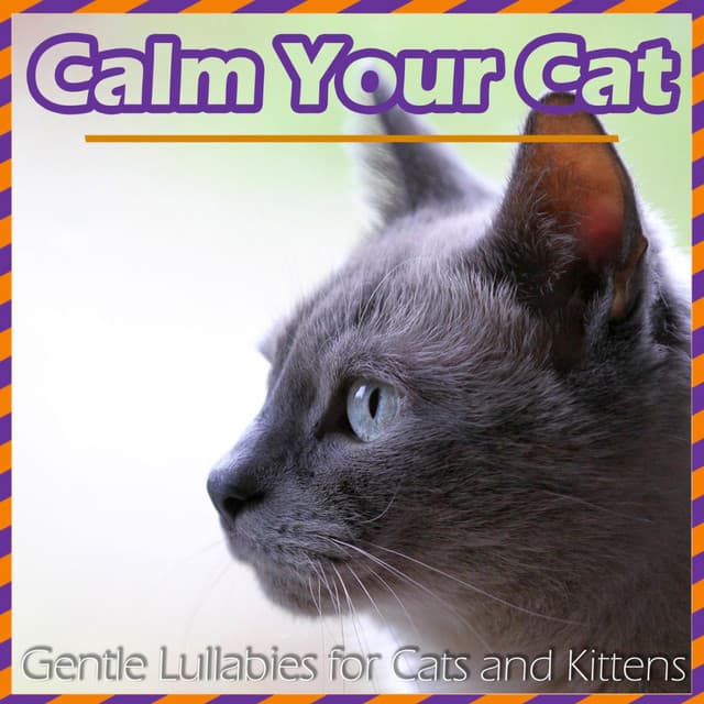 Calm Your Cat - Gentle Lullabies for Cats and Kittens - RelaxMyCat