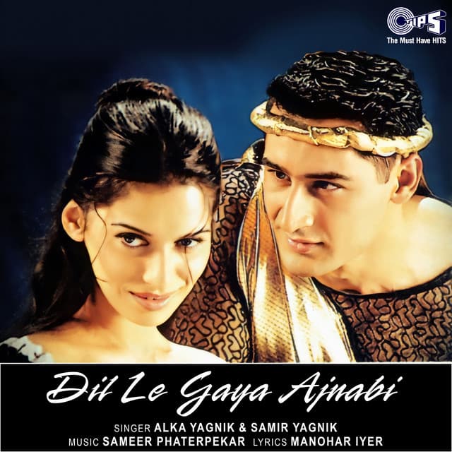 Dil Le Gaya Ajnabi - Alka Yagnik