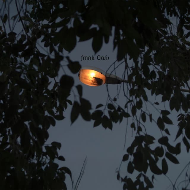 Candlelight After Moonrise - Frank Oasis