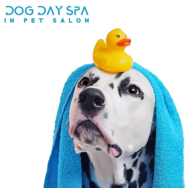 Dog Day Spa - In Pet Salon, Relaxing Tracks for Dog Anxiety. Pet Therapy, Animal Reiki - Animal Melody Wizard