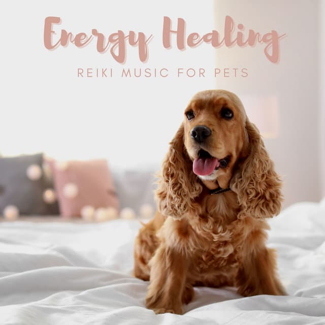 Energy Healing Reiki Music for Pets - Reiki for Animals