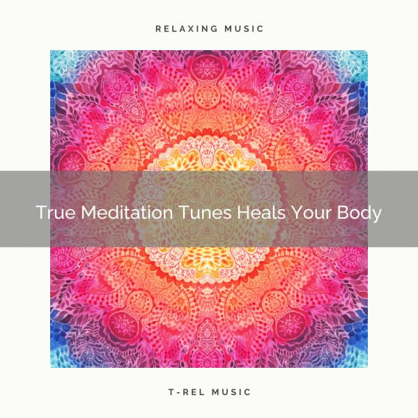 True Meditation Tunes Heals Your Body - Perfect Meditation