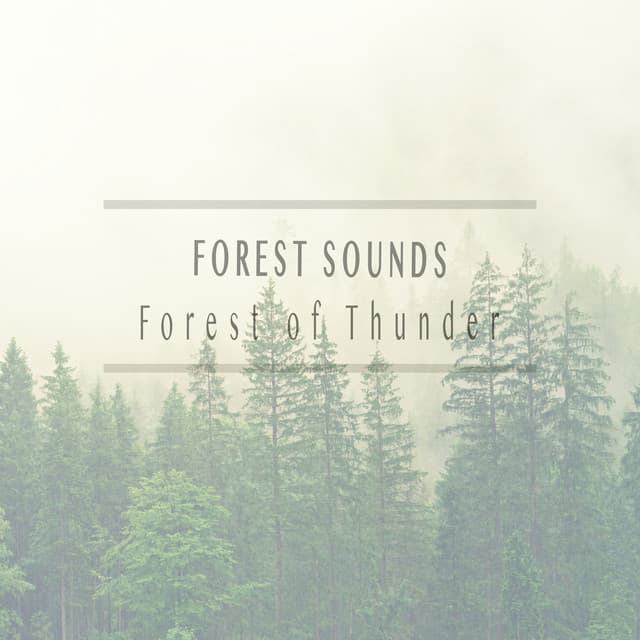 Forest of Thunder - Forest Sounds