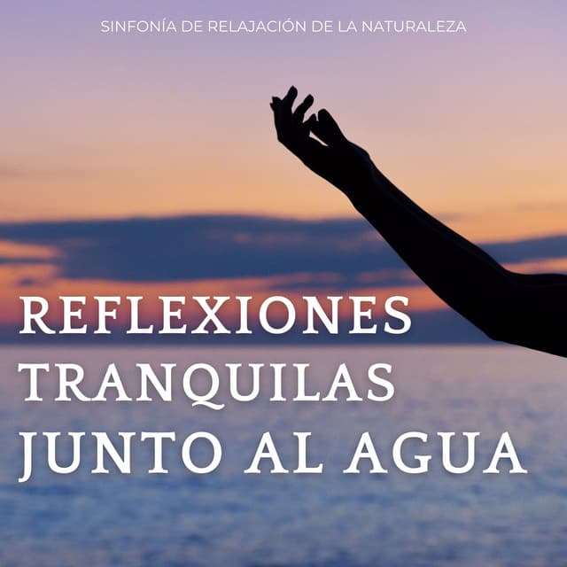 Reflexiones Tranquilas Junto Al Agua: Sinfonía De Relajación De La Naturaleza - Explosión hawaiana