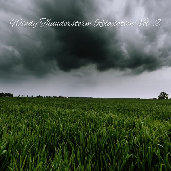 Windy Thunderstorm Relaxation Vol. 2 - Deep Sleep Relaxation
