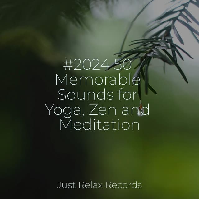 #2024 50 Memorable Sounds for Yoga, Zen and Meditation - Musica para Meditar