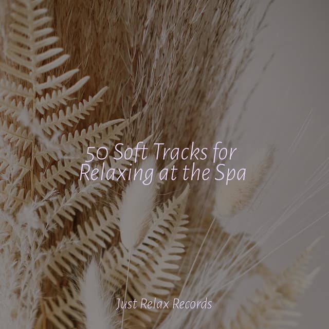 50 Soft Tracks for Relaxing at the Spa - Musica Reiki