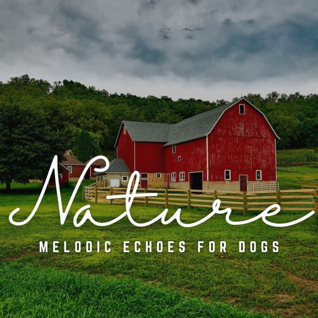 Tail-Wagging Tunes: Melodic Echoes for Dogs - Pet Music