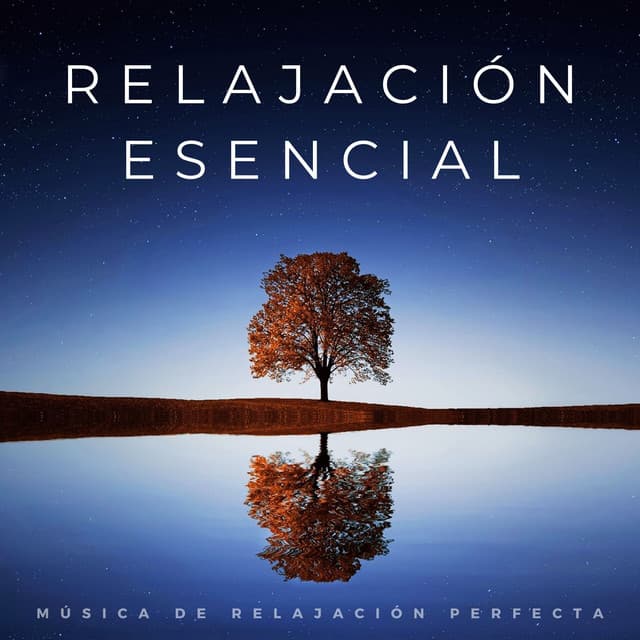 Relajación Esencial: Música De Relajación Perfecta - Música de Fondo para Salón de Restaurante