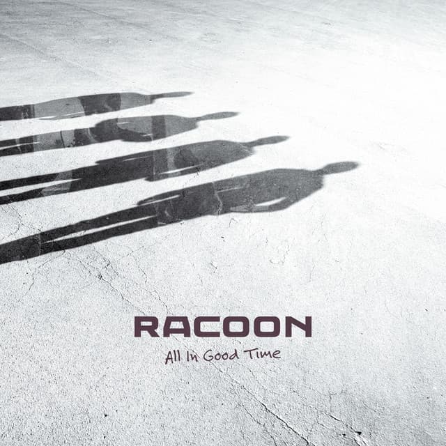 All in Good Time - Racoon