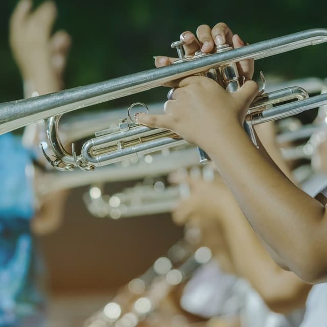 Smooth Jazz Grooves for Calm Relaxation Moments - Bebop Jazz Radio