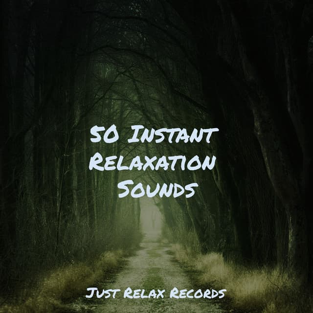 50 Instant Relaxation Sounds - Kinderliedjes