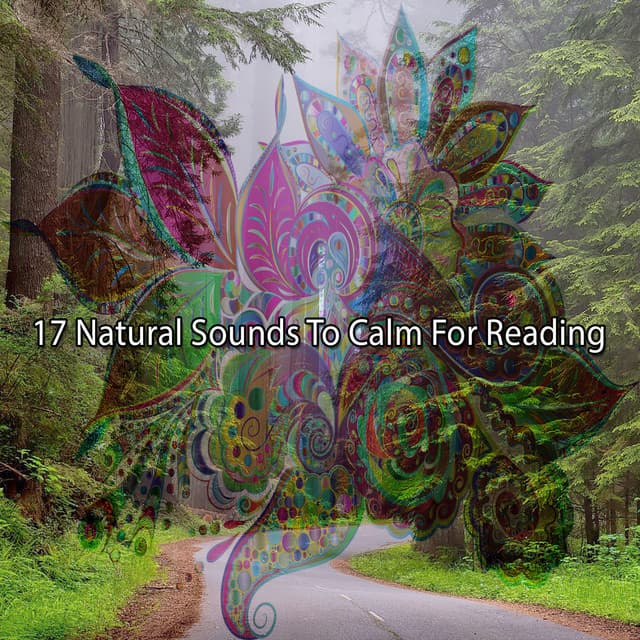 17 Natural Sounds To Calm For Reading - Sleep Songs with Nature Sounds