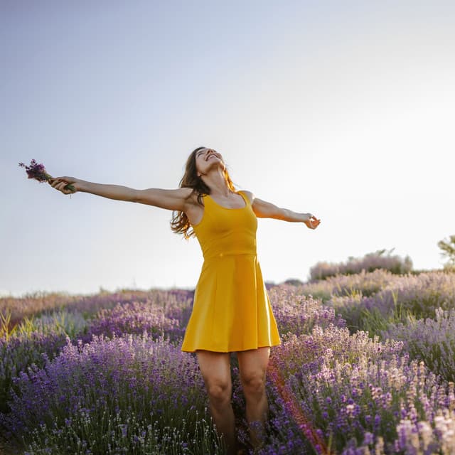 Radiant Lofi Harmony: Harmonious Tunes for Serenity - Music for Stress Relief