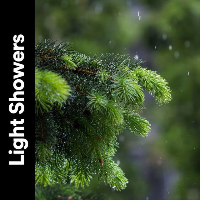 Light Showers - Rain Sounds for Relaxation