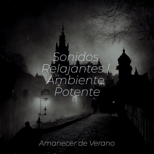 Sonidos Relajantes | Ambiente Potente - Study Music & Sounds