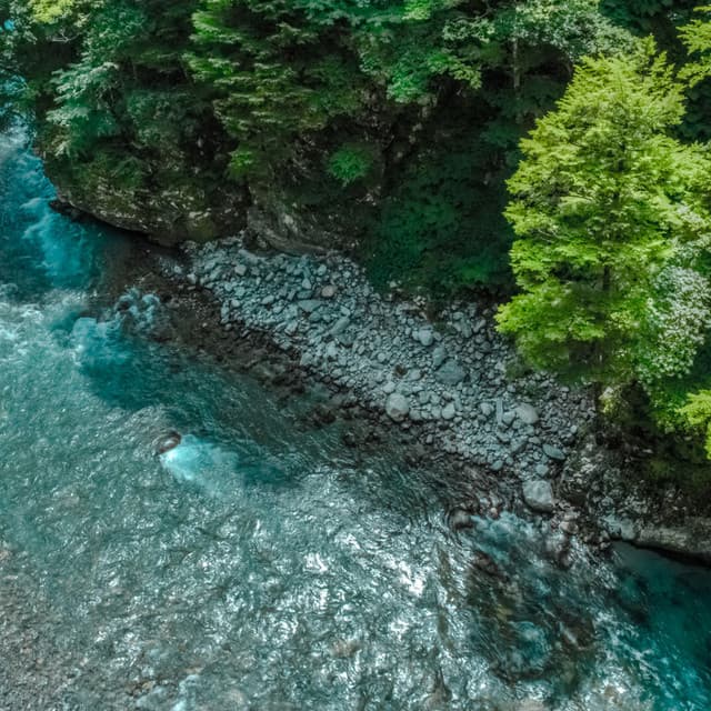 Tranquil Waterside: Stream's Serene Harbor - The Water Sleepers