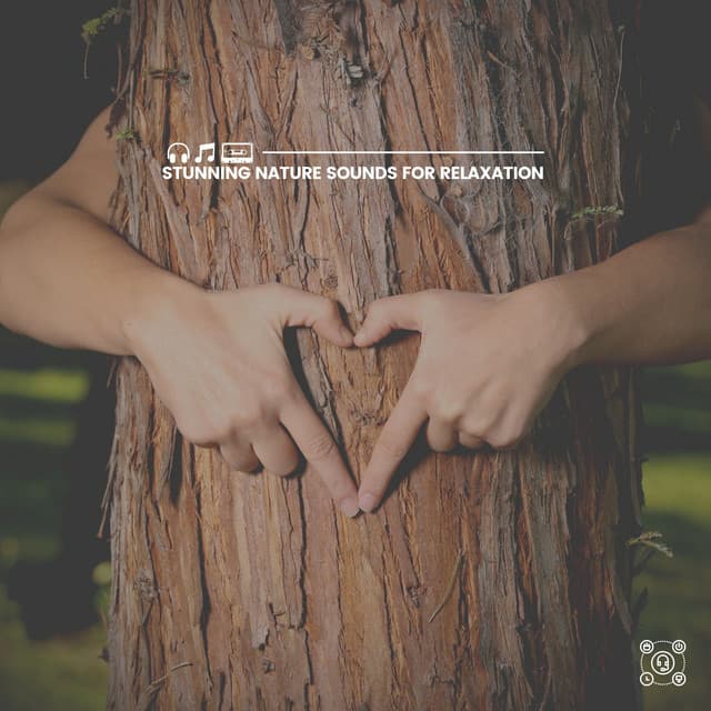 Stunning Nature Sounds for Relaxation - Thanael Wendtura