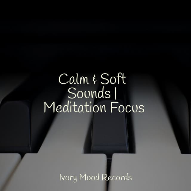 Calm & Soft Sounds | Meditation Focus - Anxiety Relief