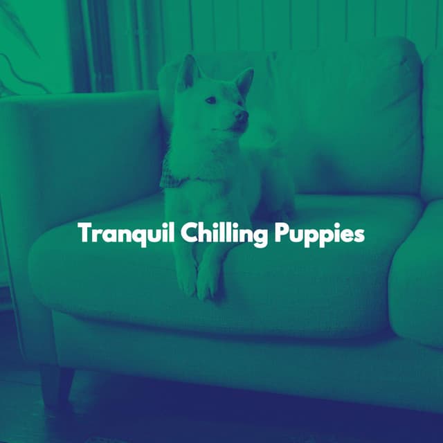 Tranquil Chilling Puppies - Easy Jazz Listening