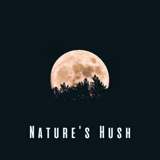 Nature's Hush: Binaural Sounds for Baby's Peaceful Dreams - The Nature Project