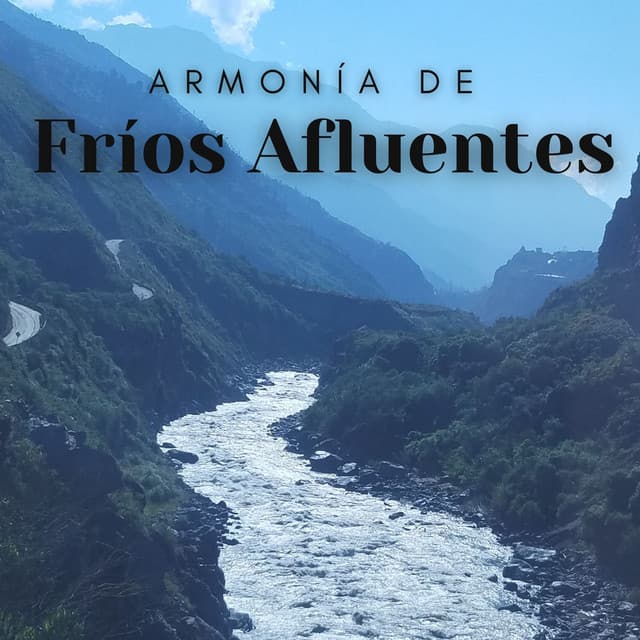 Armonía De Fríos Afluentes - Paisaje sonoro de agua goteando