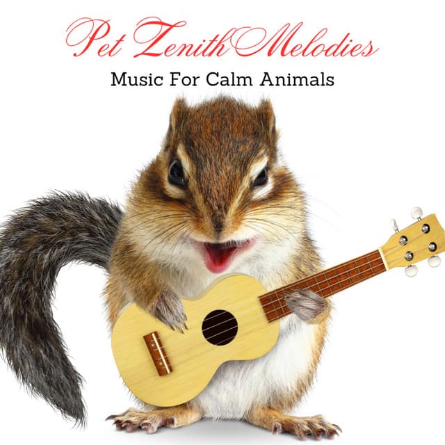 Pet Zenith Melodies: Music For Calm Animals - Calm Solitude