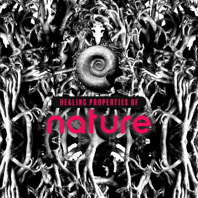 Healing Properties of Nature - Essence of Life & Natural Beauty - Lover of New Age Nature