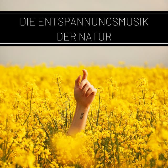 Die Entspannungsmusik der Natur: Wellness, Entspannung und Autogenes Training, Vogelstimmen - Klaviermusik Entspannen
