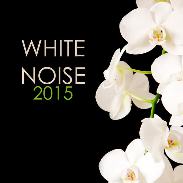 White Noise 2015: Best Background Tracks Collection - White Noise Masters