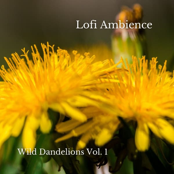 Lofi Ambience: Wild Dandelions Vol. 1 - Relaxing Instrumental Jazz Cafe