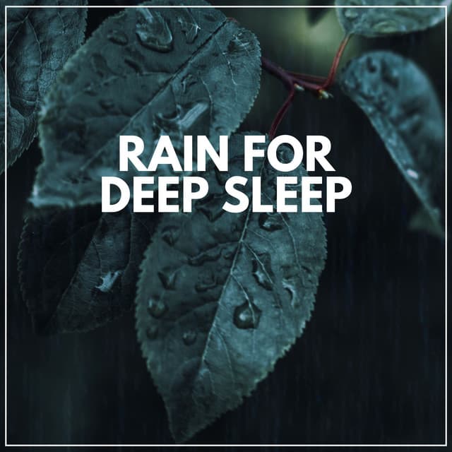 Rain for Deep Sleep - Rain for Deep Sleeping