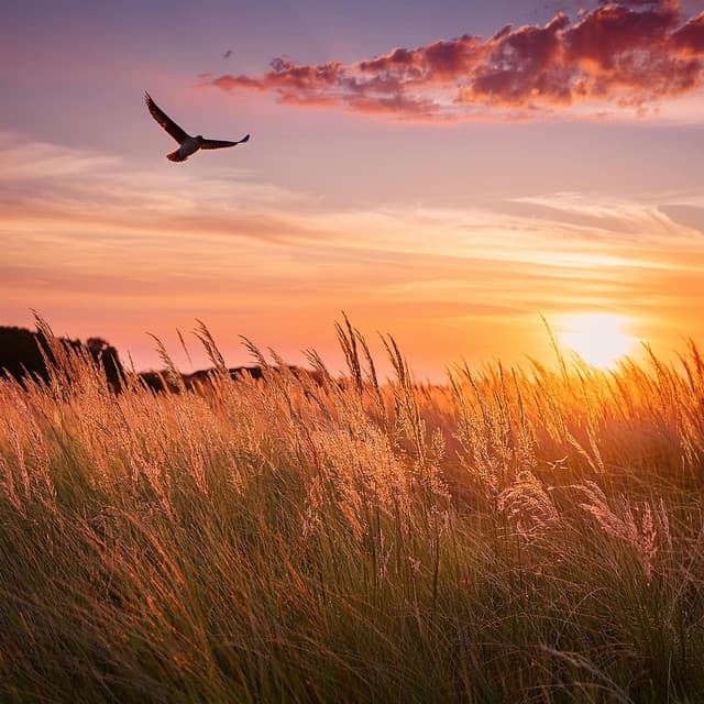 Lofi Meditación Fluida: Ritmos Para Calmar Los Pensamientos - Maestro de lo-fi cósmico