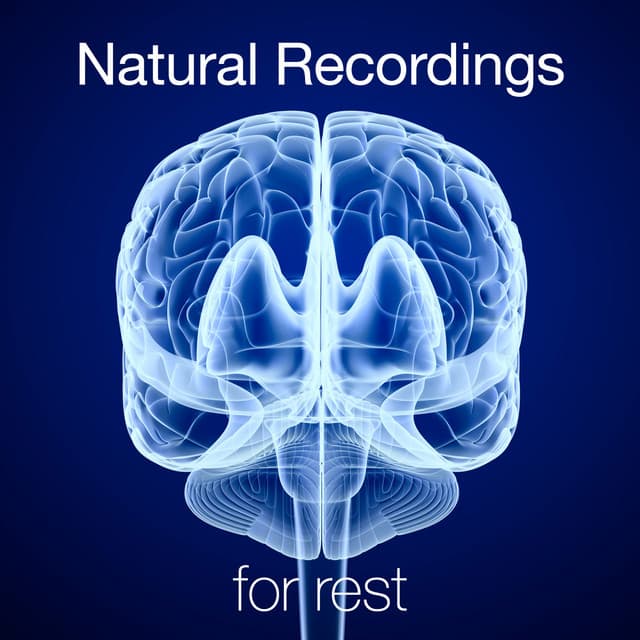Natural Recordings for Rest - Ambient Nature Sounds