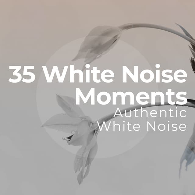 35 White Noise Moments - Authentic White Noise
