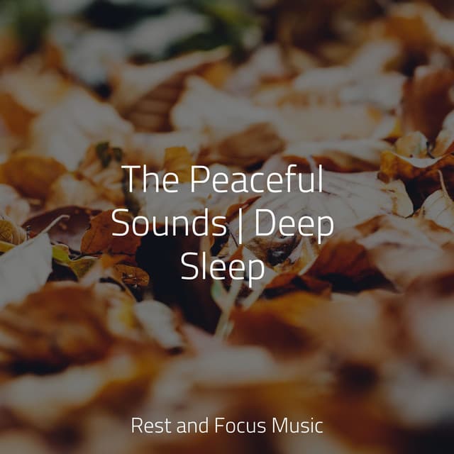 The Peaceful Sounds | Deep Sleep - Study Concentration