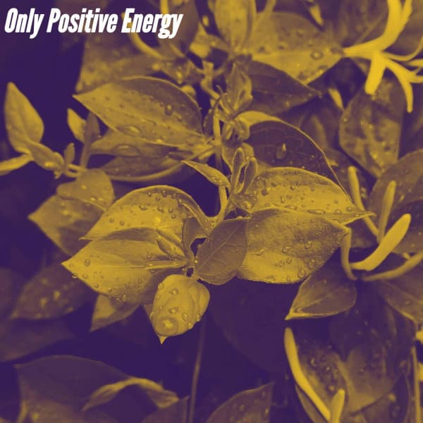 Only Positive Energy - Trabajar desde Casa