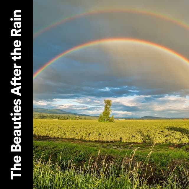 The Beauties After the Rain - Loopable Rain Sounds