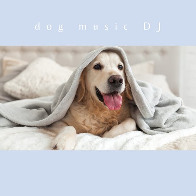 Bedtime Music For Dogs - Dog Music DJ