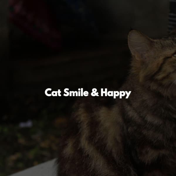 Cat Smile & Happy - Música para el Trabajo