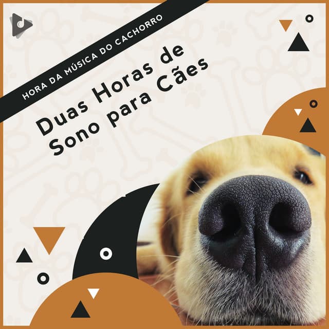 2 Horas de Sono para Cães - Hora da Música do Cachorro