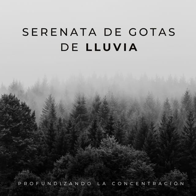 Serenata De Gotas De Lluvia: Profundizando La Concentración - Danny sonidos de lluvia