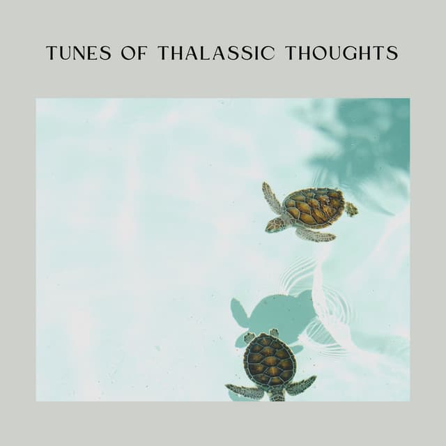 Tunes of Thalassic Thoughts - Calm Ocean Sounds