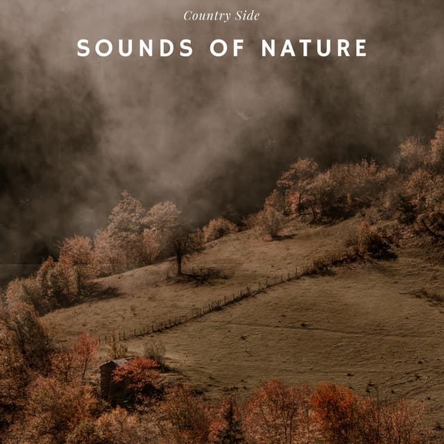 Country Side - Sounds Of Nature - Cricket Sounds