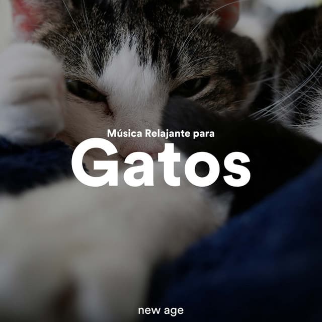 Música Relajante para Gatos - Piano Shades