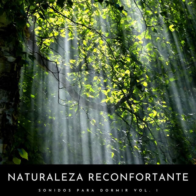 Naturaleza Reconfortante: Sonidos Para Dormir Vol. 1 - Canciones De Cuna Para Dormir Bebes