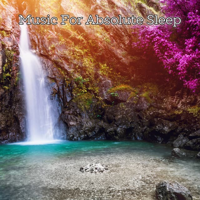 Sleeping Time Musica No Nature Just Healing and Destress - Music For Absolute Sleep