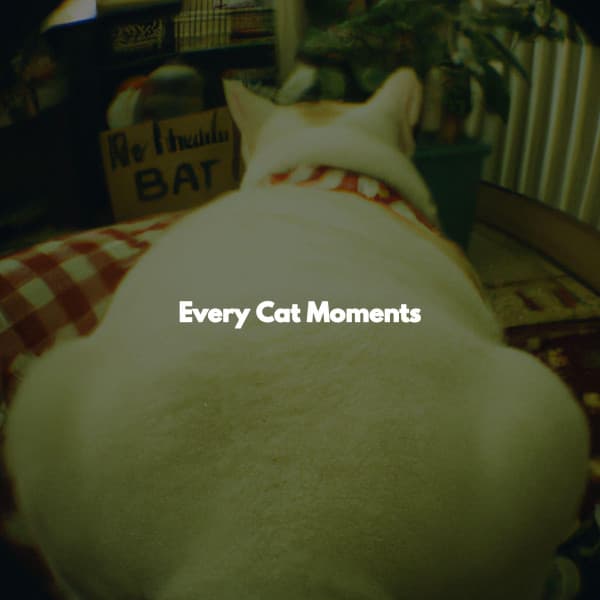 Every Cat Moments - Instrumental Jazz Classics